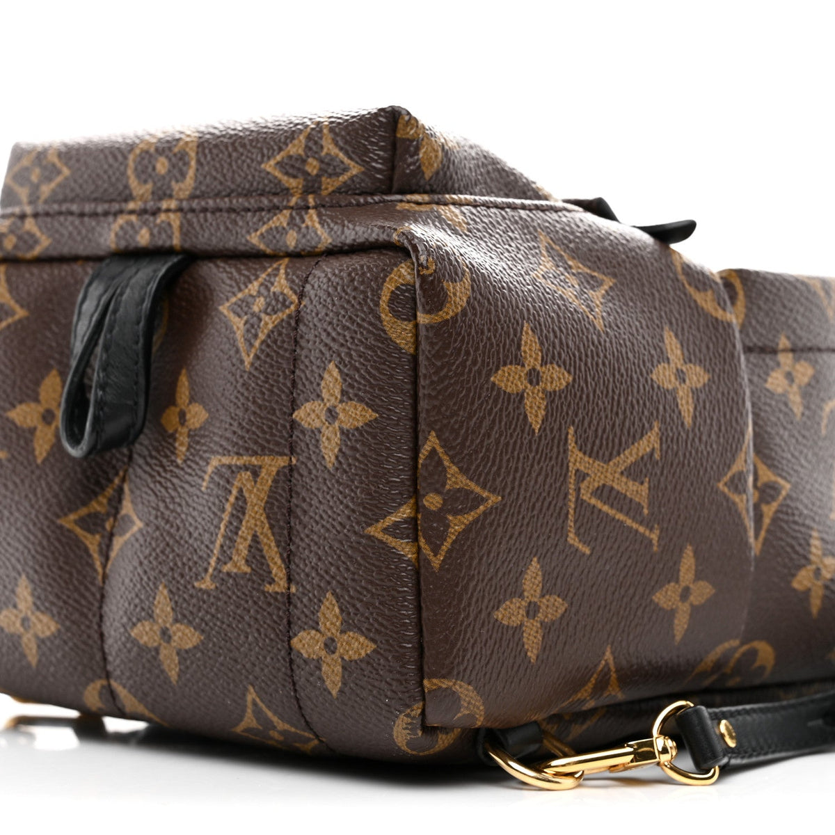 Monogram Palm Springs Backpack Mini