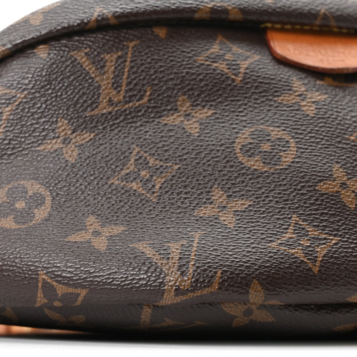 Monogram Bumbag