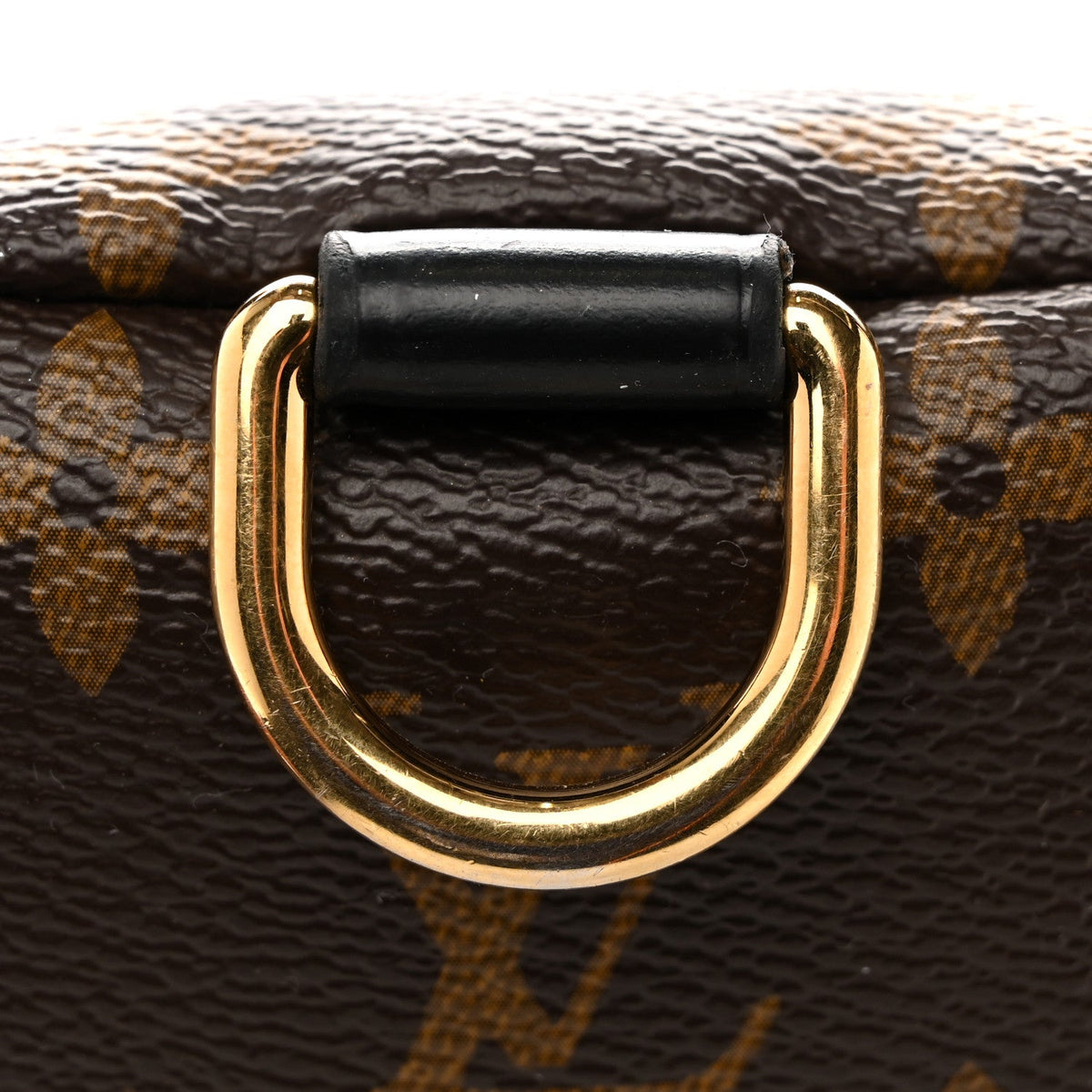 Monogram My LV World Tour Bumbag