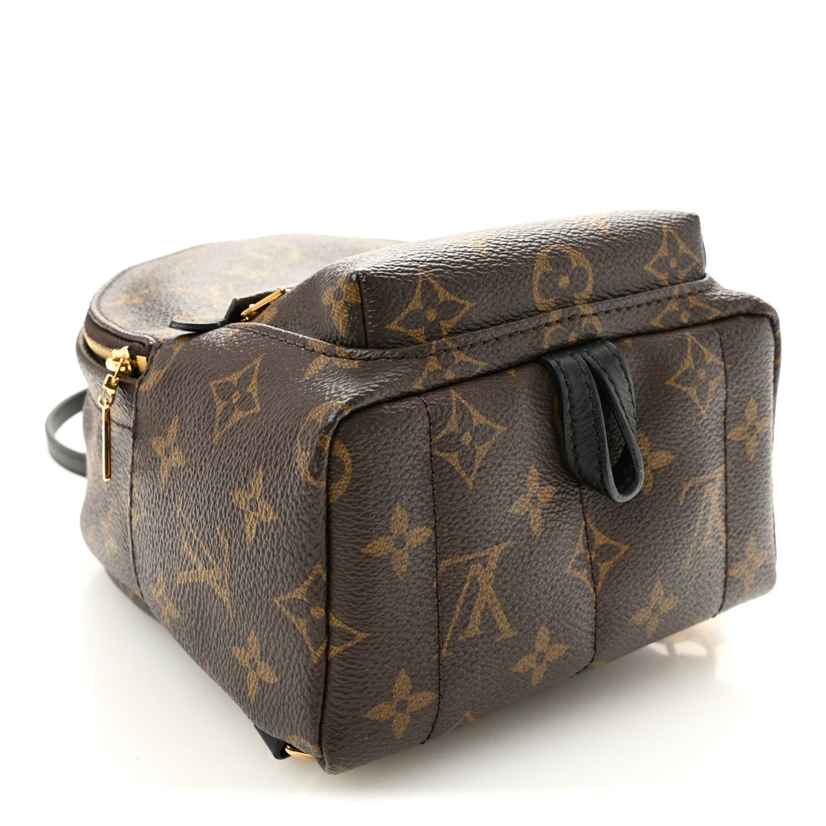 Monogram Palm Springs Backpack Mini