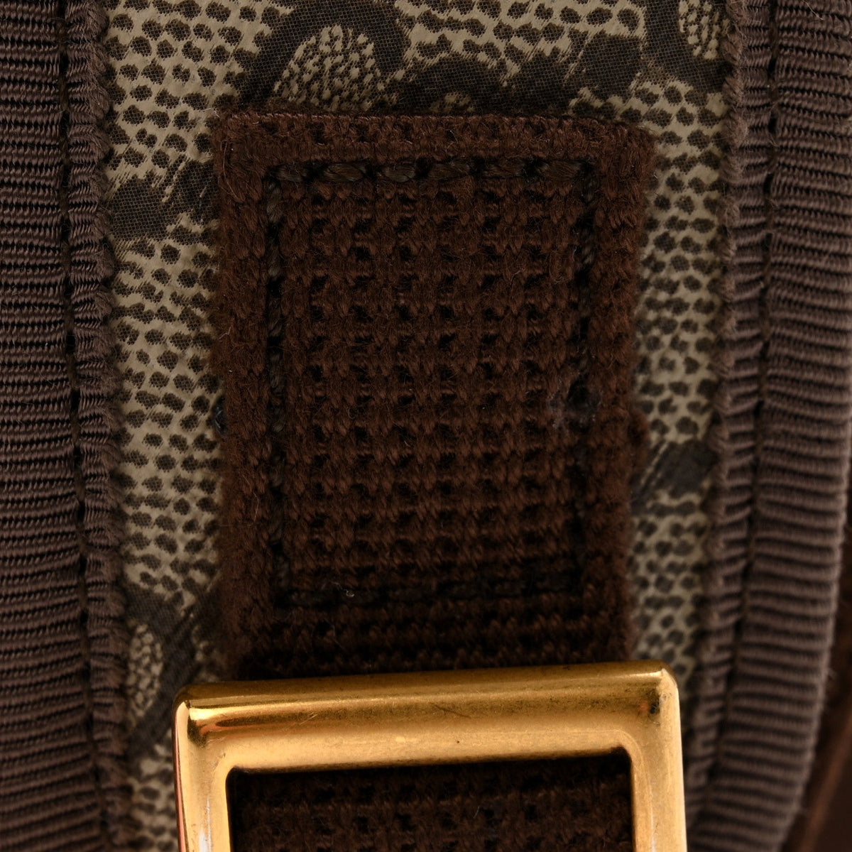 GG Supreme Monogram Textured Dollar Calfskin Web Small Ophidia Day Backpack Beige Ebony Fluorescent Fuchsia