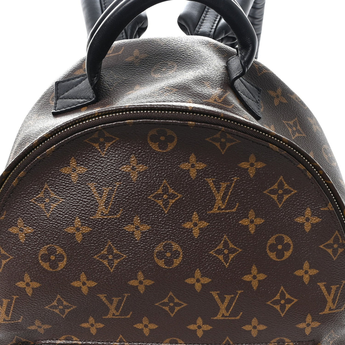 Monogram Palm Springs Backpack MM
